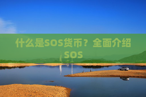 什么是SOS货币?全面介绍SOS