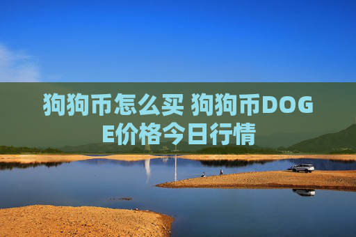 狗狗币怎么买 狗狗币DOGE价格今日行情