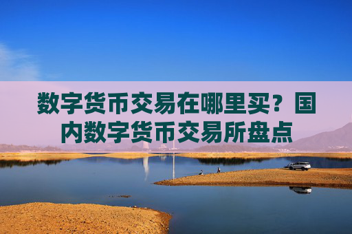 数字货币交易在哪里买?国内数字货币交易所盘点
