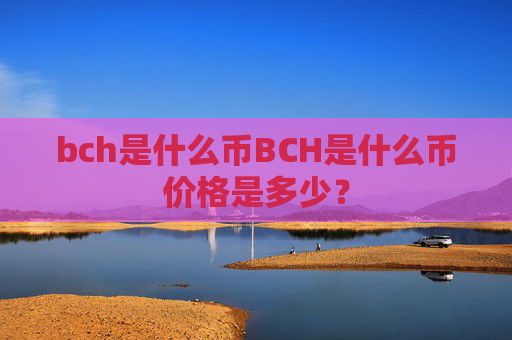 bch是什么币BCH是什么币价格是多少？
