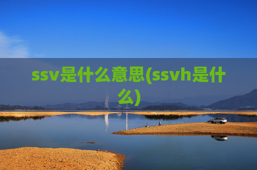 ssv是什么意思(ssvh是什么)