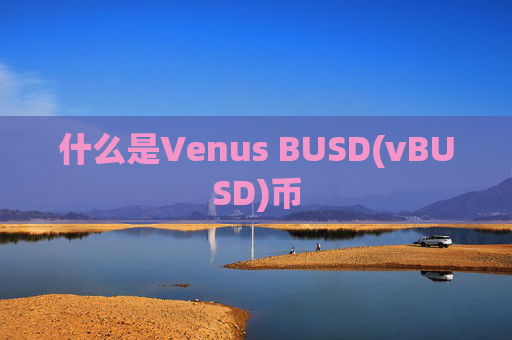 什么是Venus BUSD(vBUSD)币