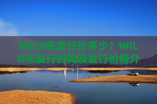 WILD币发行价多少？WILD币发行时间及发行价格介绍