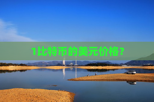 1比特币的美元价格？