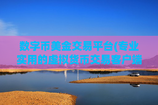 数字币美金交易平台(专业实用的虚拟货币交易客户端)