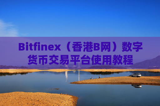 Bitfinex(香港B网)数字货币交易平台使用教程