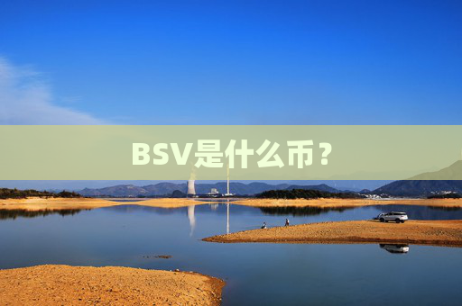 BSV是什么币?