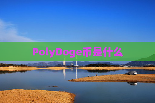 PolyDoge币是什么