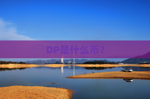 DP是什么币？