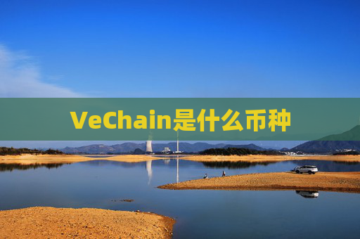 VeChain是什么币种
