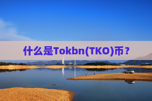 什么是Tokbn(TKO)币?
