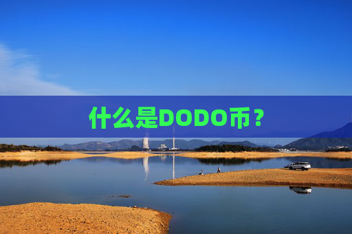 什么是DODO币?