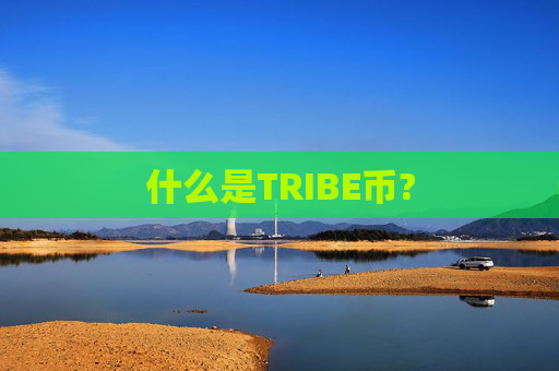 什么是TRIBE币?