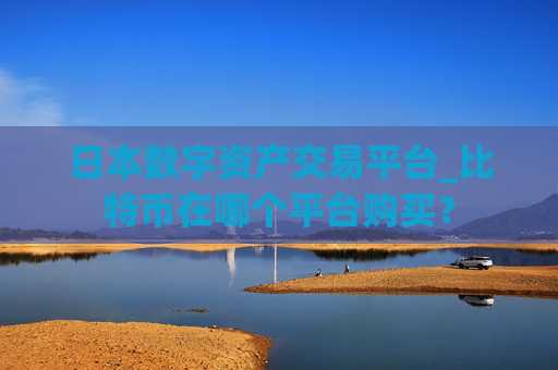 日本数字资产交易平台_比特币在哪个平台购买?