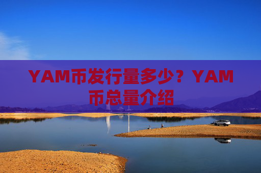 YAM币发行量多少?YAM币总量介绍