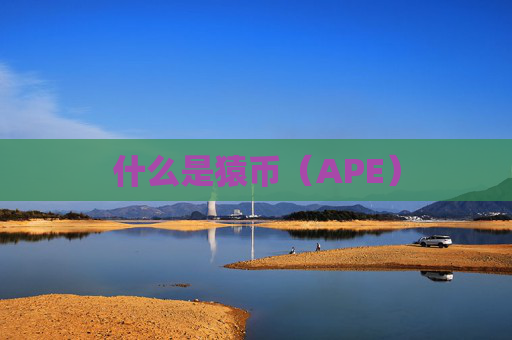 什么是猿币(APE)