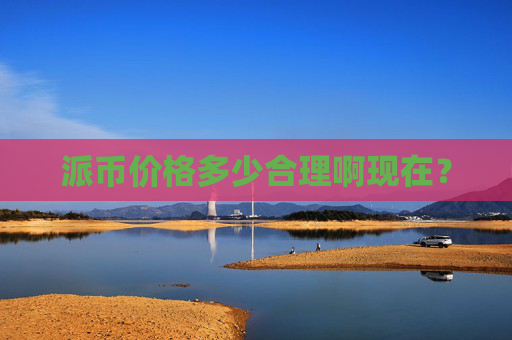 派币价格多少合理啊现在?