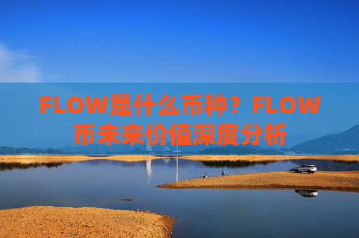 FLOW是什么币种?FLOW币未来价值深度分析