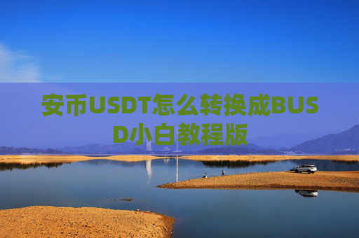 安币USDT怎么转换成BUSD小白教程版