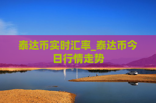 泰达币实时汇率_泰达币今日行情走势