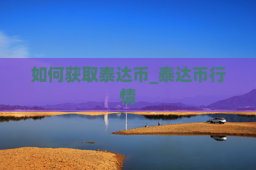 如何获取泰达币_泰达币行情