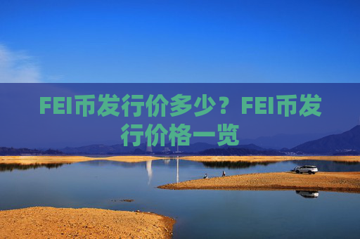 FEI币发行价多少?FEI币发行价格一览