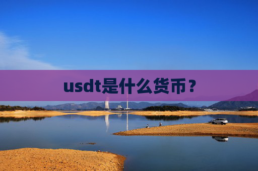 usdt是什么货币?