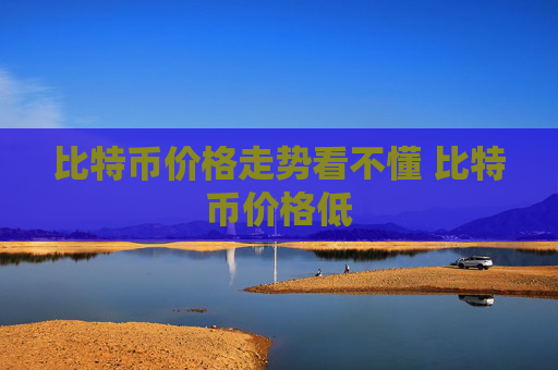 比特币价格走势看不懂 比特币价格低