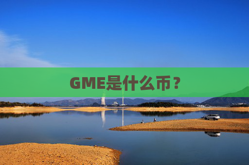GME是什么币？