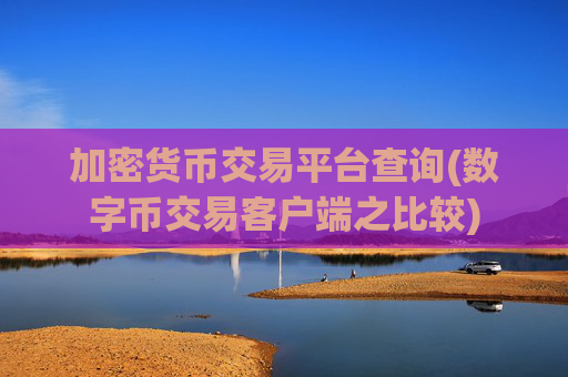 加密货币交易平台查询(数字币交易客户端之比较)