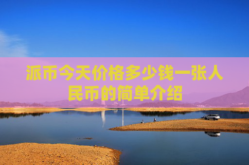 派币今天价格多少钱一张人民币的简单介绍