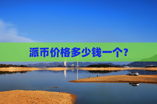 派币价格多少钱一个?