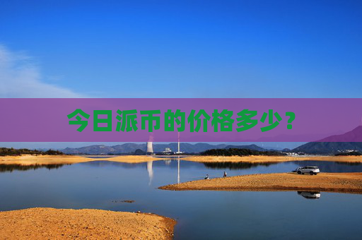 今日派币的价格多少?