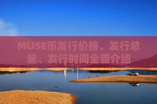 MUSE币发行价格、发行总量、发行时间全面介绍
