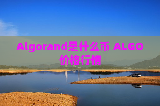 Algorand是什么币 ALGO价格行情