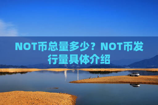 NOT币总量多少?NOT币发行量具体介绍