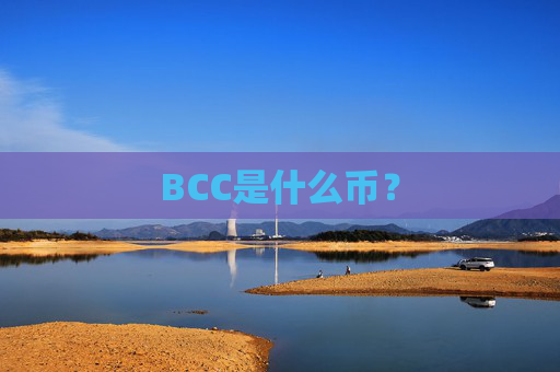 BCC是什么币？