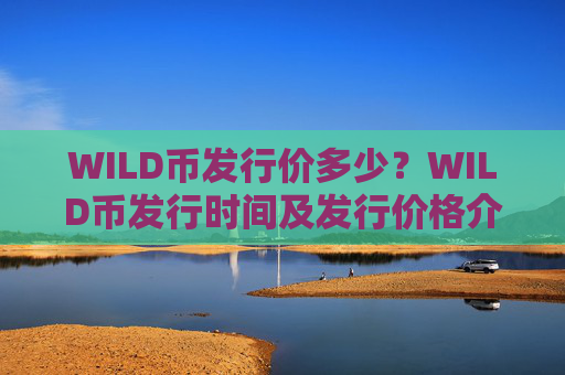 WILD币发行价多少?WILD币发行时间及发行价格介绍