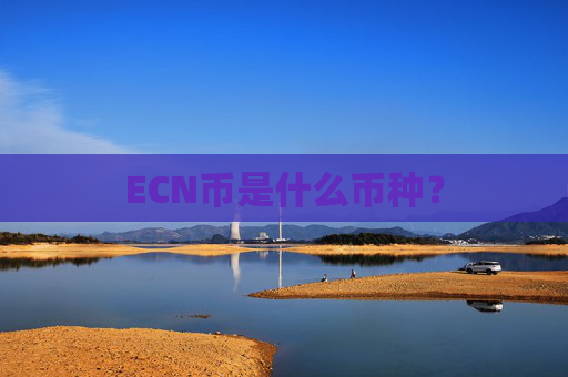 ECN币是什么币种?