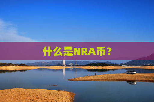 什么是NRA币?
