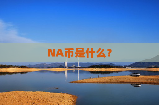 NA币是什么?