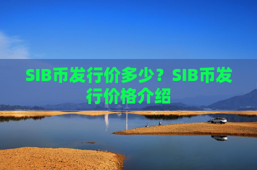 SIB币发行价多少？SIB币发行价格介绍