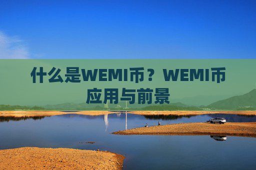 什么是WEMI币?WEMI币应用与前景