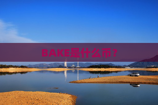 BAKE是什么币?
