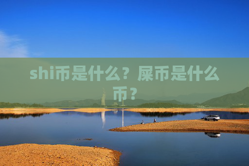 shi币是什么?屎币是什么币?