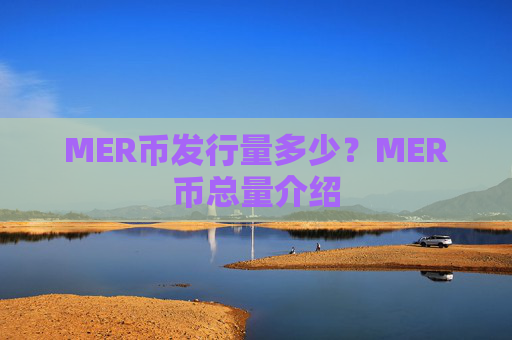 MER币发行量多少?MER币总量介绍