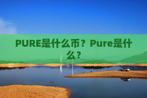 PURE是什么币?Pure是什么?