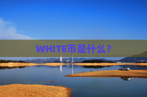 WHITE币是什么?