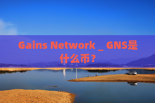 Gains Network _ GNS是什么币?