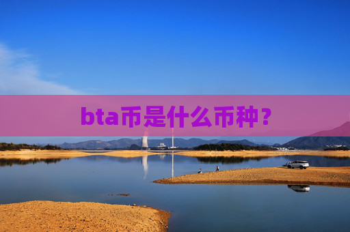 bta币是什么币种？
